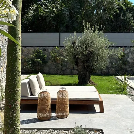 فيلة Thelevissihouses